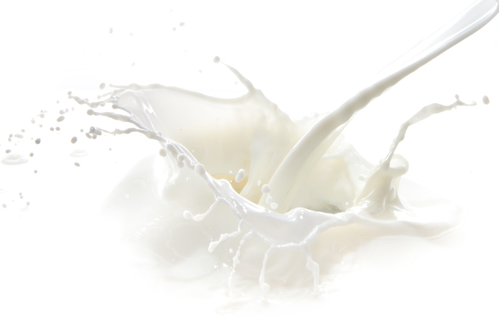 pouring milk splash isolated on white background