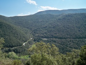 La_Strada_Statale_128_tra_i_boschi_di_Tiana