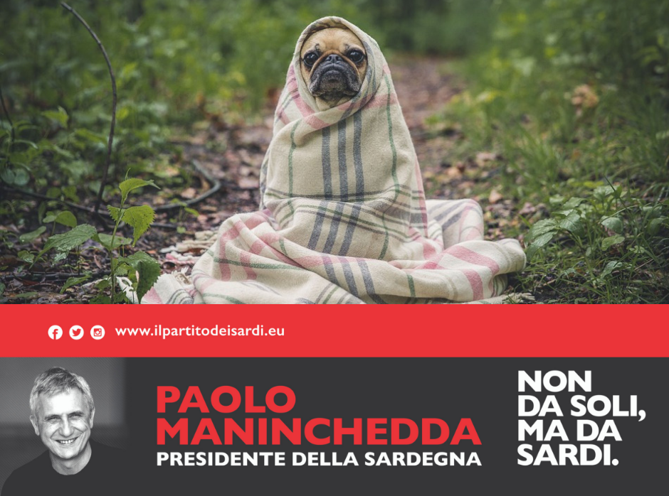 I Cani bugiardi (del Pd)